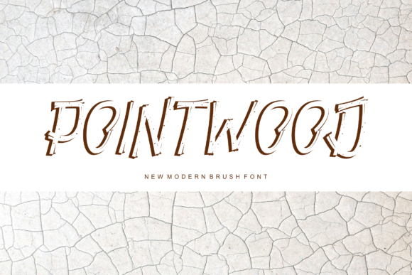 Pointwood: A Bold Geometric Display Font