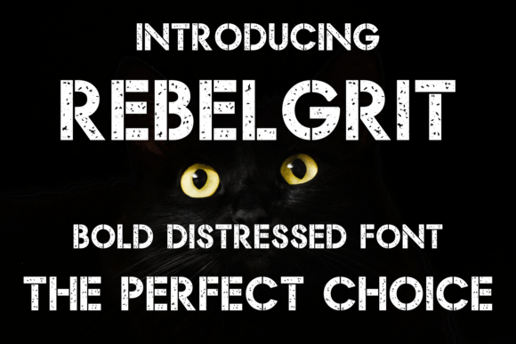 Rebel Grit: How Distressed Typography Breaks Through Visual Noise